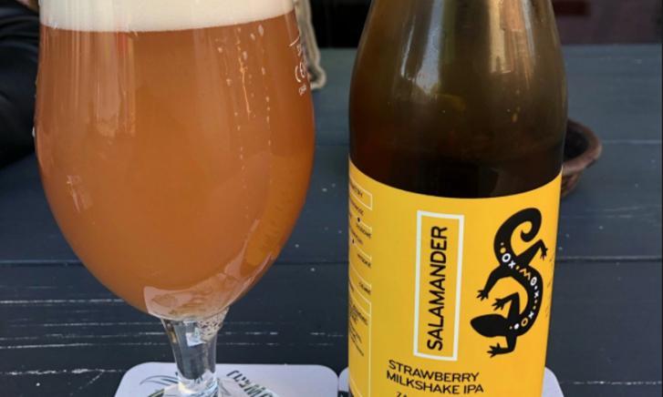 Salamander Strawberry Milkshake IPA logo